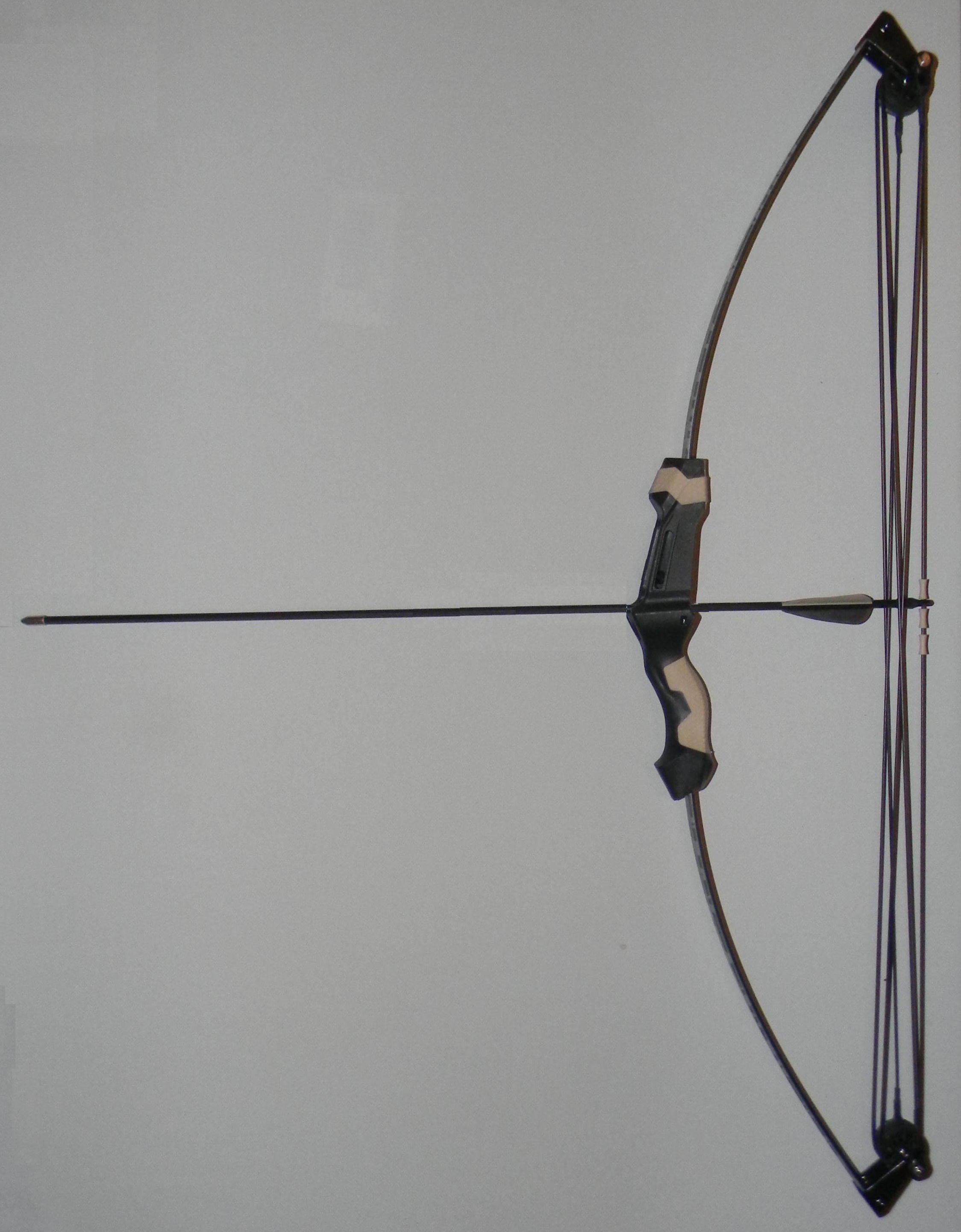 Compound Bow