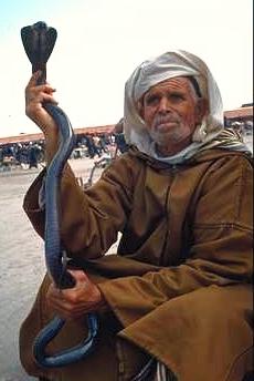 Man Holding Snake