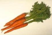 Carrots