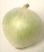 White Onion