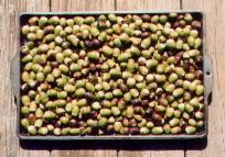 Tray of Acorns