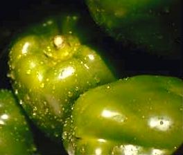 Peppers