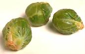 Brussels Sprouts